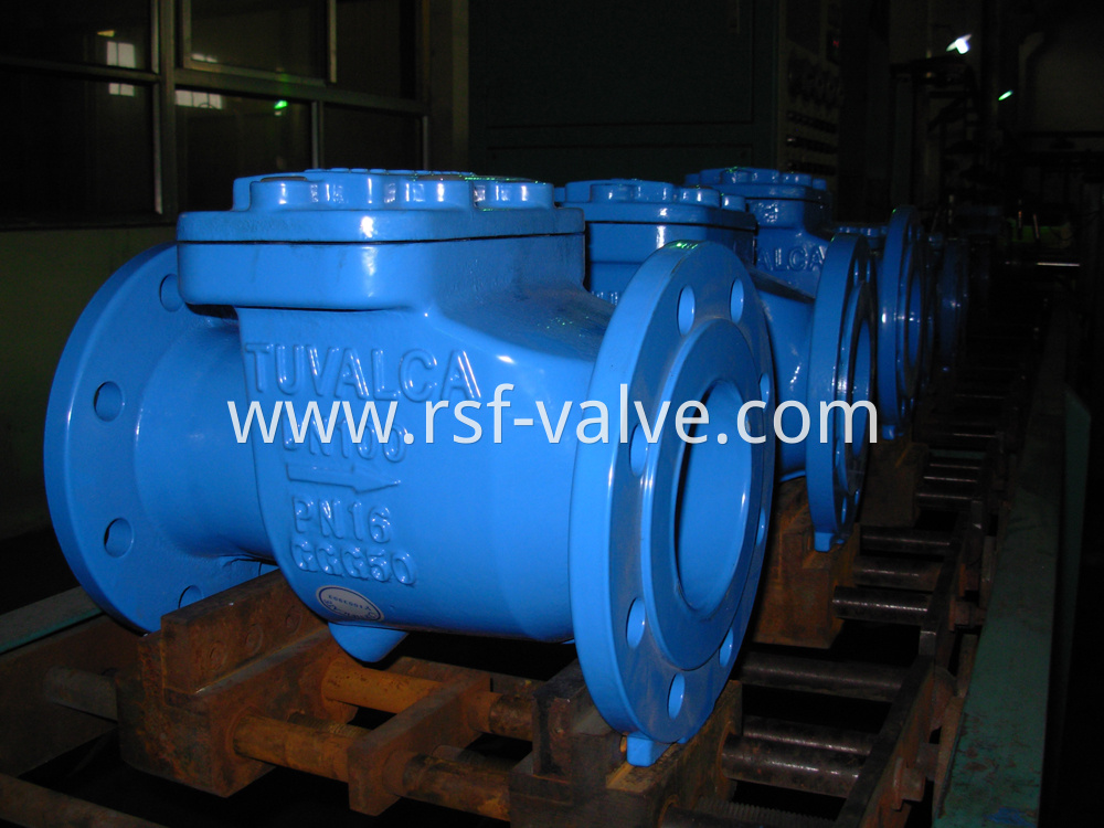 Rubber Capsuled Disc Swing Check Valve 1